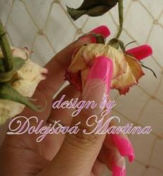 Studio Orchidea