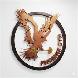Fitness centrum Phoenix GYM