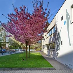 Sportcentrum TJ Turnov