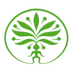 Lékárna Mandragora