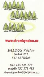 Lesní školka Nekoř, vánoční stromky