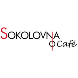 Sokolovna Litvínov