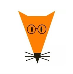 Optika liška