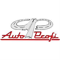 Auto PROFI - Rytina Martin