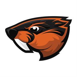 Beavers Chomutov