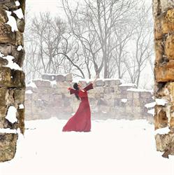 Flamenco al Norte