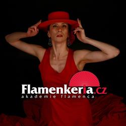 Flamenkeria