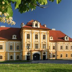 Klášter Borovany