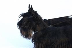 Veterinární ordinace MVDr Sehnal Bohuslav