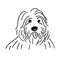 Aida - veterinární klinika Šumavská