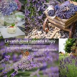 Levandulová zahrada Anette