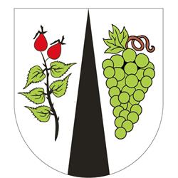 Trnovany - Obecní Úřad