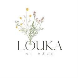 Louka ve váze