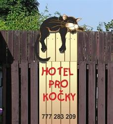 Hotel pro kočky Praha - Kočka na dovolené