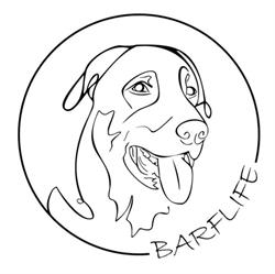 Barflife