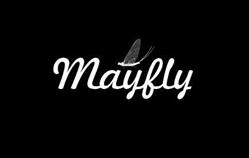Mayfly Studio