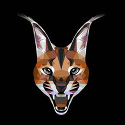 STUDIO CARACAL