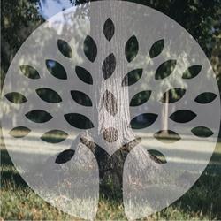 Cherry Tree Nursery & Preschool