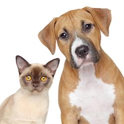 Veterinární ordinace Vet Blue Cross