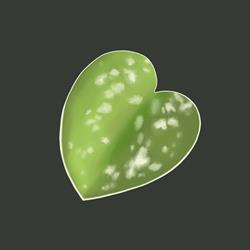 EkoAloe