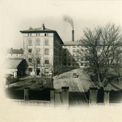 LAE FACTORY