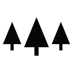 Forest Ritual