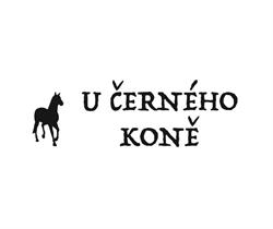 Penzion U Černého koně