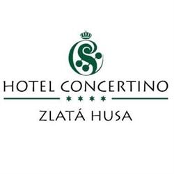 Jiří Švihálek - Hotel Concertino - Zlatá Husa