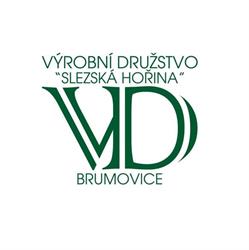 VD Brumovice - Správa