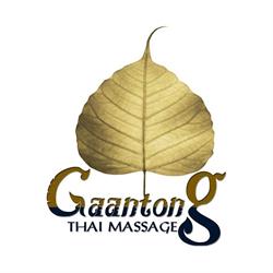 Gaantong - Liberec