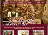 Webová stránka Restaurace Triton