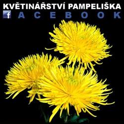 Květinářství Pampeliška