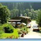 Relax u Zajonca