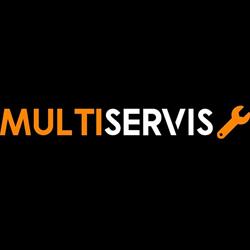 MULTISERVIS