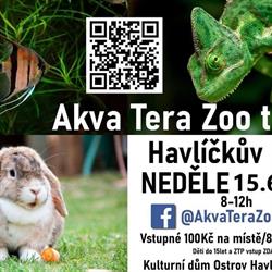 AKVA TERAZOO TRHY