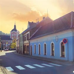 Ovoce zelenina Jakub Dvořák