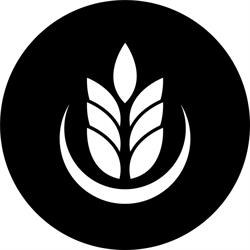 Kazoku