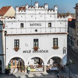 Hotel Bílý koníček
