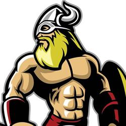 Viking fitness centrum, solárium Nýřany
