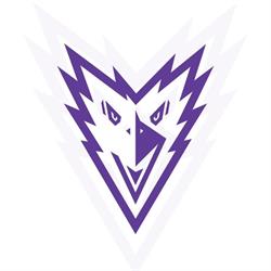 Brno Ravens LC