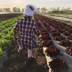 Rodinná farma Jamboz