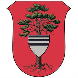 Město Týniště nad Orlicí