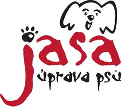 Jasa