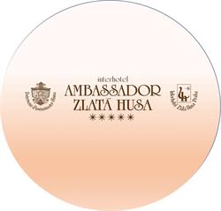 Hotel Ambassador Zlatá husa Lobby bar