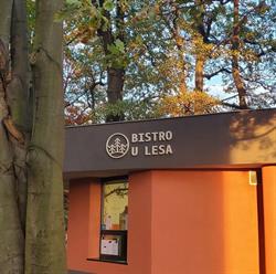Bistro U lesa
