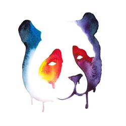 Barevna Panda