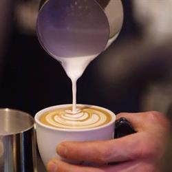 Café Kubes