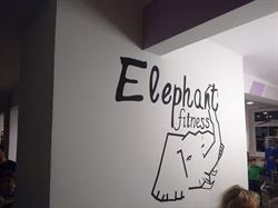 Elephant Fitness Studio