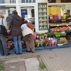 Ovoce Zelenina PANDA