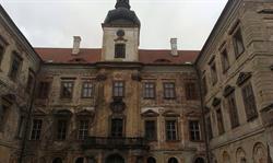 Dřevoplus